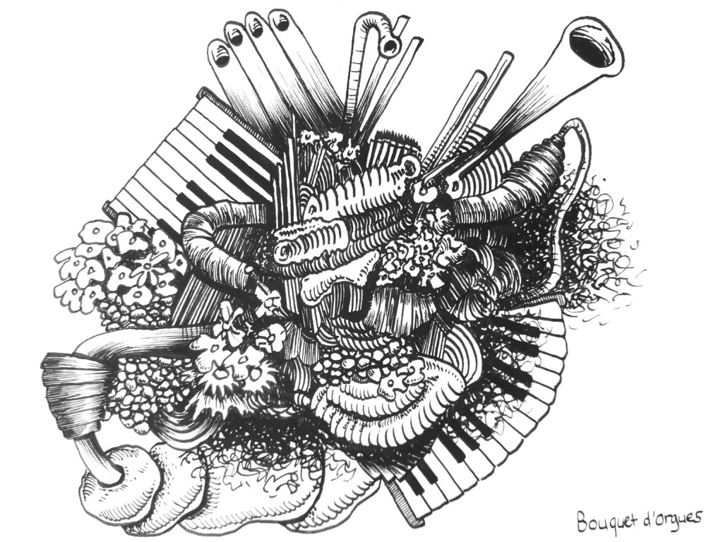 Image de Bouquet d’orgues